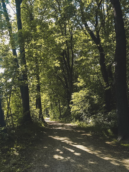 Do dyspozycji w puszczy mamy też ścieżki rowerowe