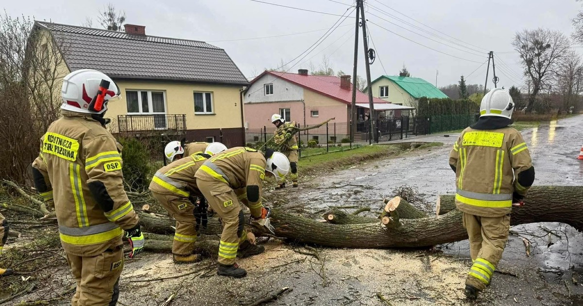 Wichury w Polsce: Kiedy wreszcie ustąpią?