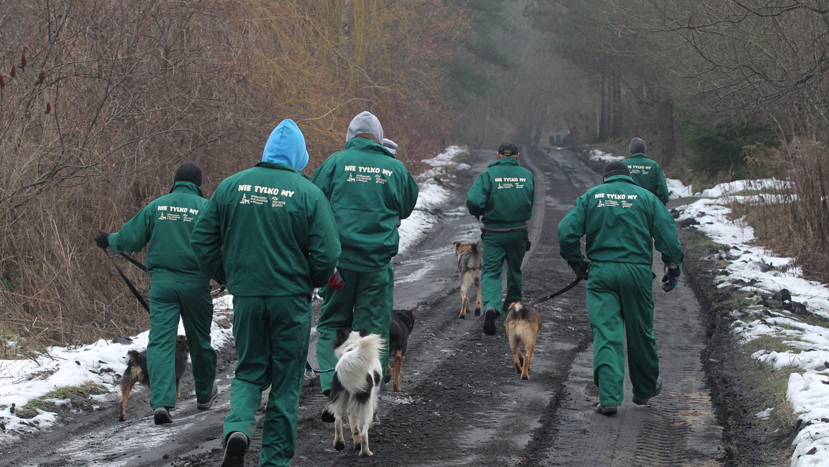 Grupa skazanych z olsztyńskiego aresztu uczestniczyła w szkoleniach psów ze schroniska, przygotowujących je do adopcji przez nowych właścicieli. Program służący jednocześnie resocjalizacji osób pozbawionych wolności sfinansowano ze środków unijnych.