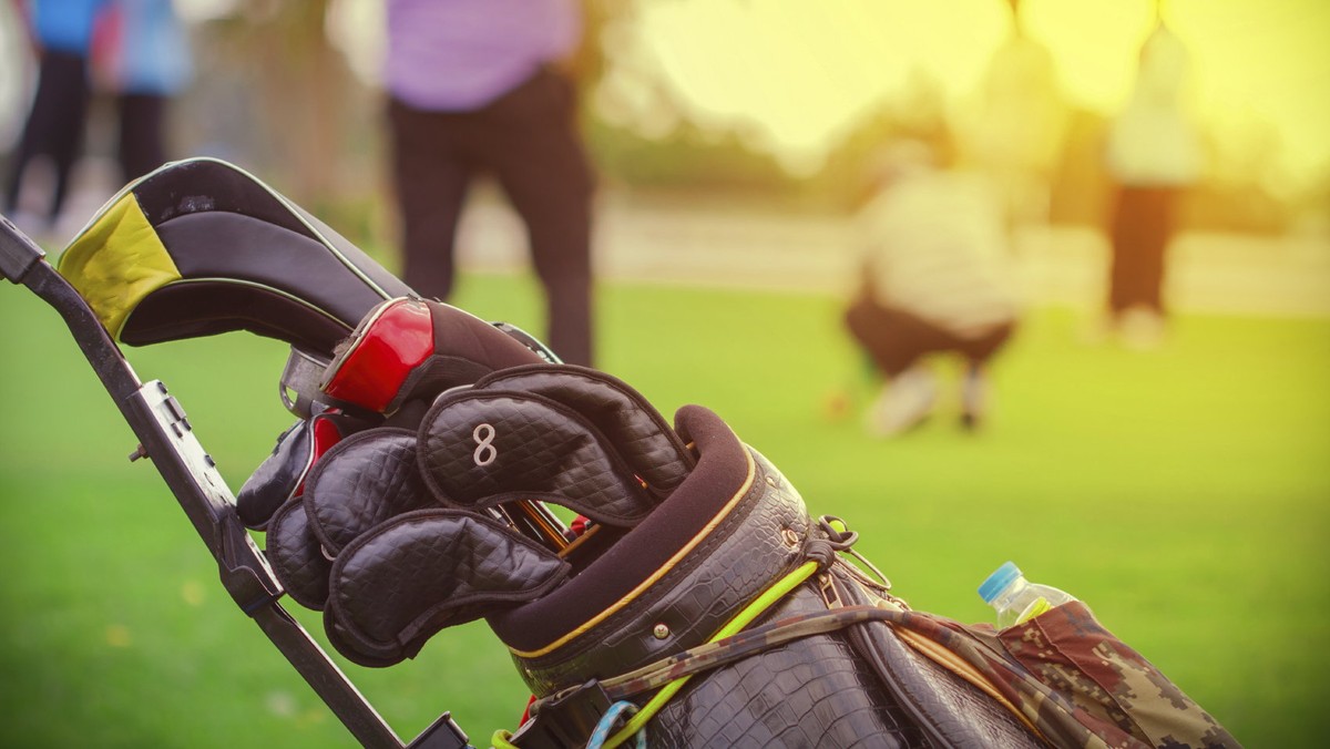 W Śląskim Ogrodzie Botanicznym w Mikołowie (Śląskie) wkrótce powstanie pole golfowe. Lokalne władze są przekonane, że zyskają na tym nie tylko amatorzy tego sportu - którzy sfinansują powstanie obiektu - ale też sam ogród i okoliczni mieszkańcy, m.in. dzięki poprawie infrastruktury.