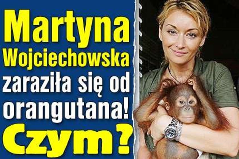 Wojciechowska zaraziła się od orangutana. Czym?