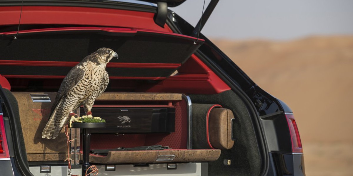 Bentley Bentayga Falconry to samochód przygotowany z myślą o sokolnikach