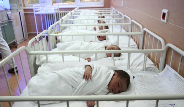 468013_beba01foto-zoran-ilic