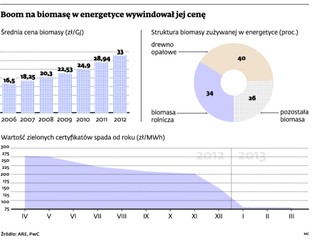 Biomasa nad przepaścią. Kilka firm już zbankrutowało, a wiele stoi na progu plajty