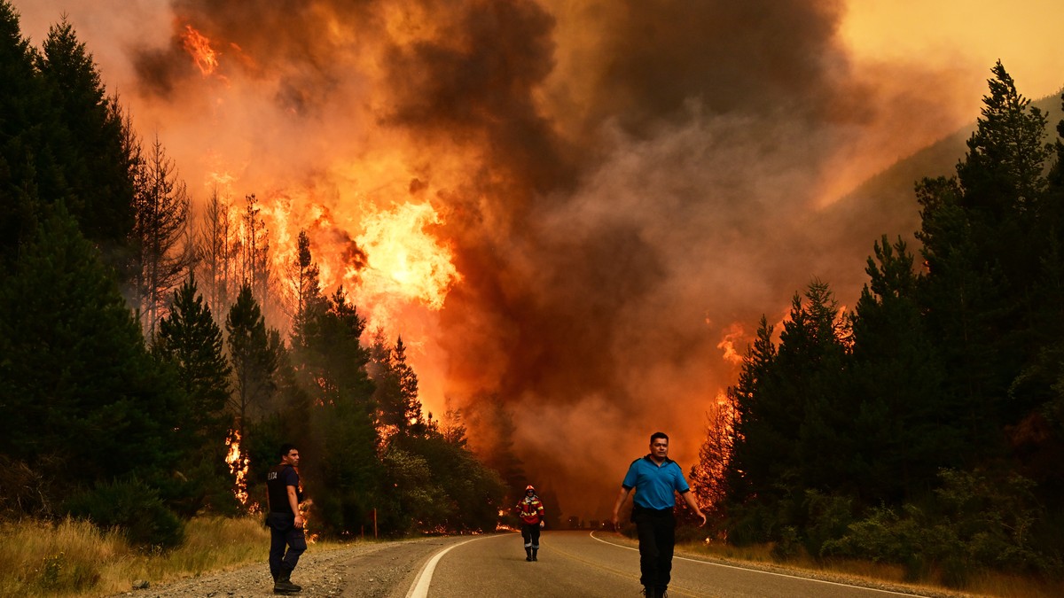 Šumski požari u El Oju u Patagoniji, Argentina, 8. januara