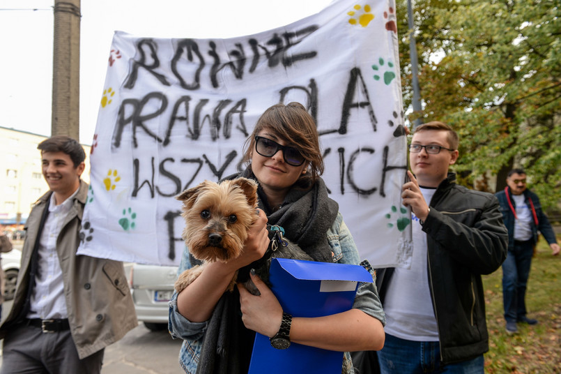 Kilkanaście psów, petycja do szefa Solidarności i zapowiedź walki ze związkowymi przywilejami. Członkowie i sympatycy ugrupowania Nowoczesna Ryszarda Petru zorganizowali pikietę przed siedzibą związku Solidarność w Warszawie.