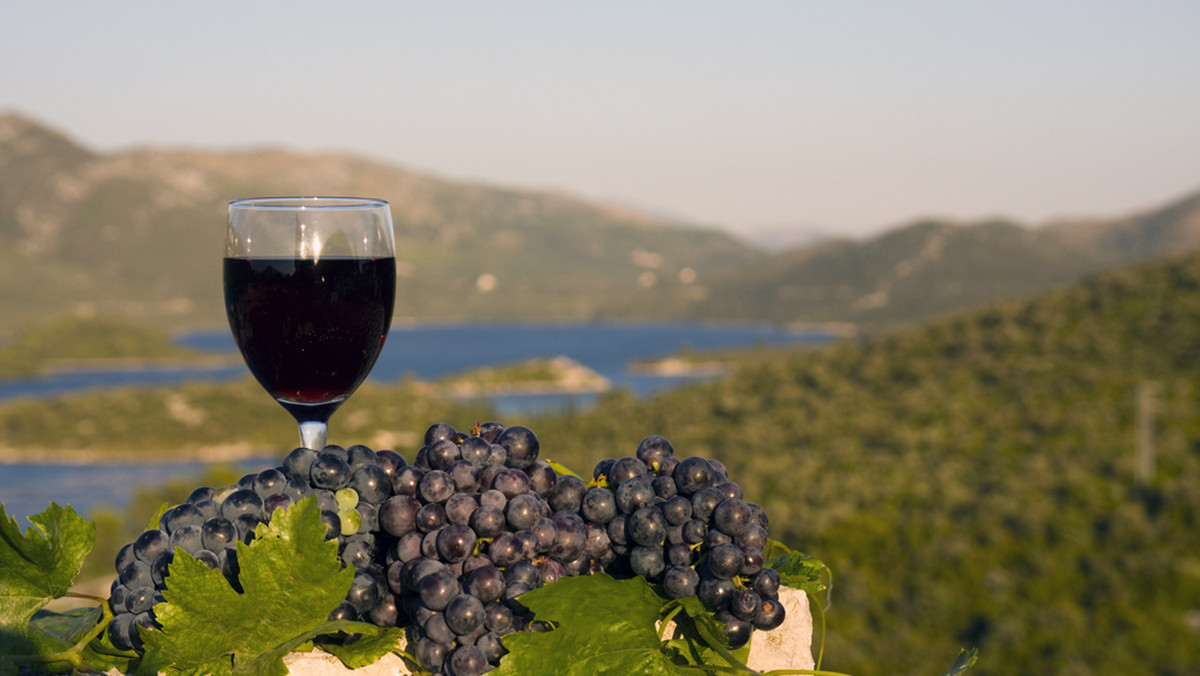 Najstarszym winem w Chorwacji jest butelka "Prosku", popularnego i cenionego w krajach południowej i zachodniej Europy. Zostało wyprodukowane w... 1888 roku, a przechowywane jest na wyspie Hvar.