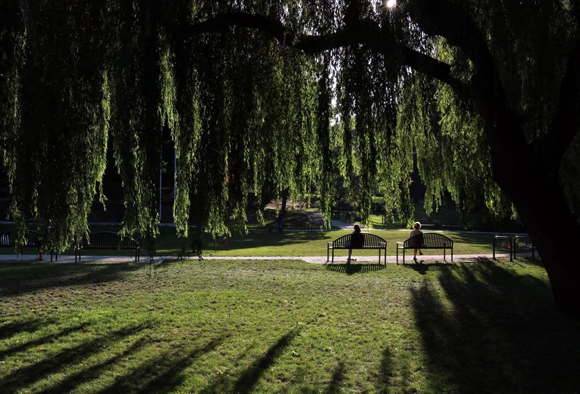 Park Oruński