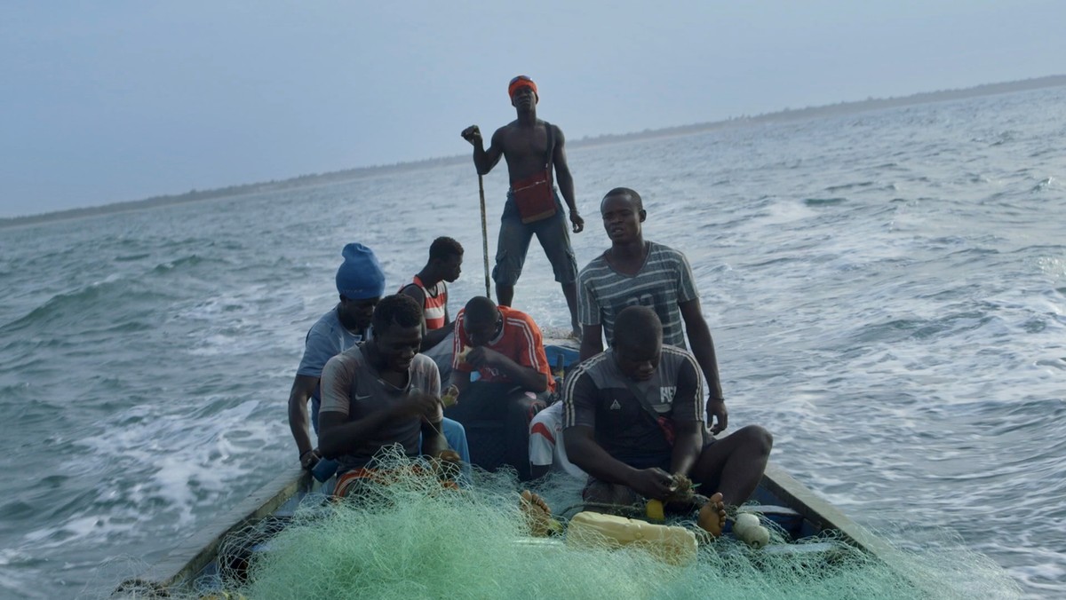 Gambia. Chiny kradną ryby, żeby karmić zwierzęta bogatych