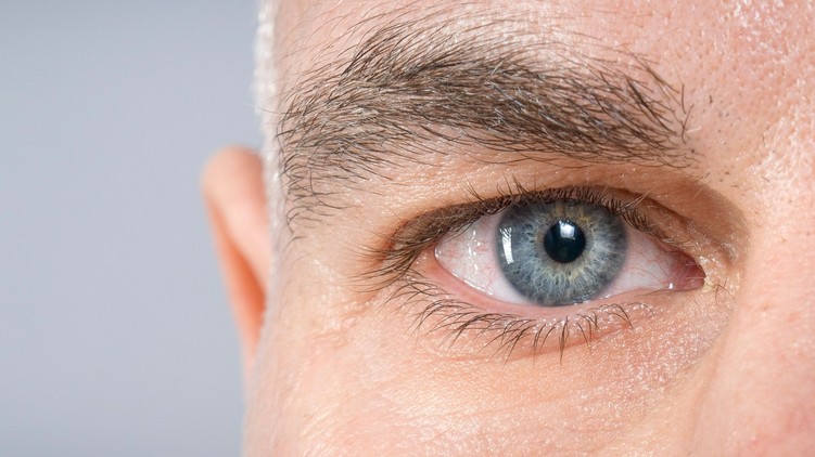 retina megőriz utolsó dolog gyilkosság