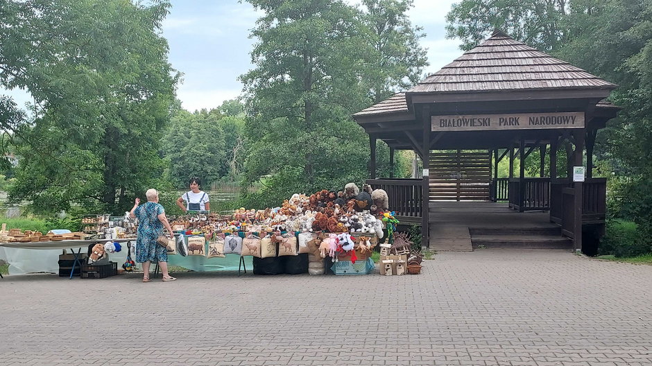 Dwa dni po tym, jak nad Białowieżą latały białoruskie śmigłowce