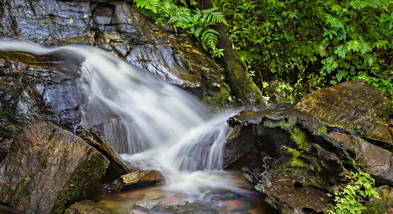 Erin-Ijesha Waterfalls is a sanctuary of purity and beauty  [aeeoaueditorial]