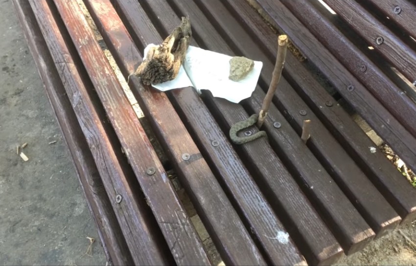Na klupi je stajao papir, a onda se pojavila zmija