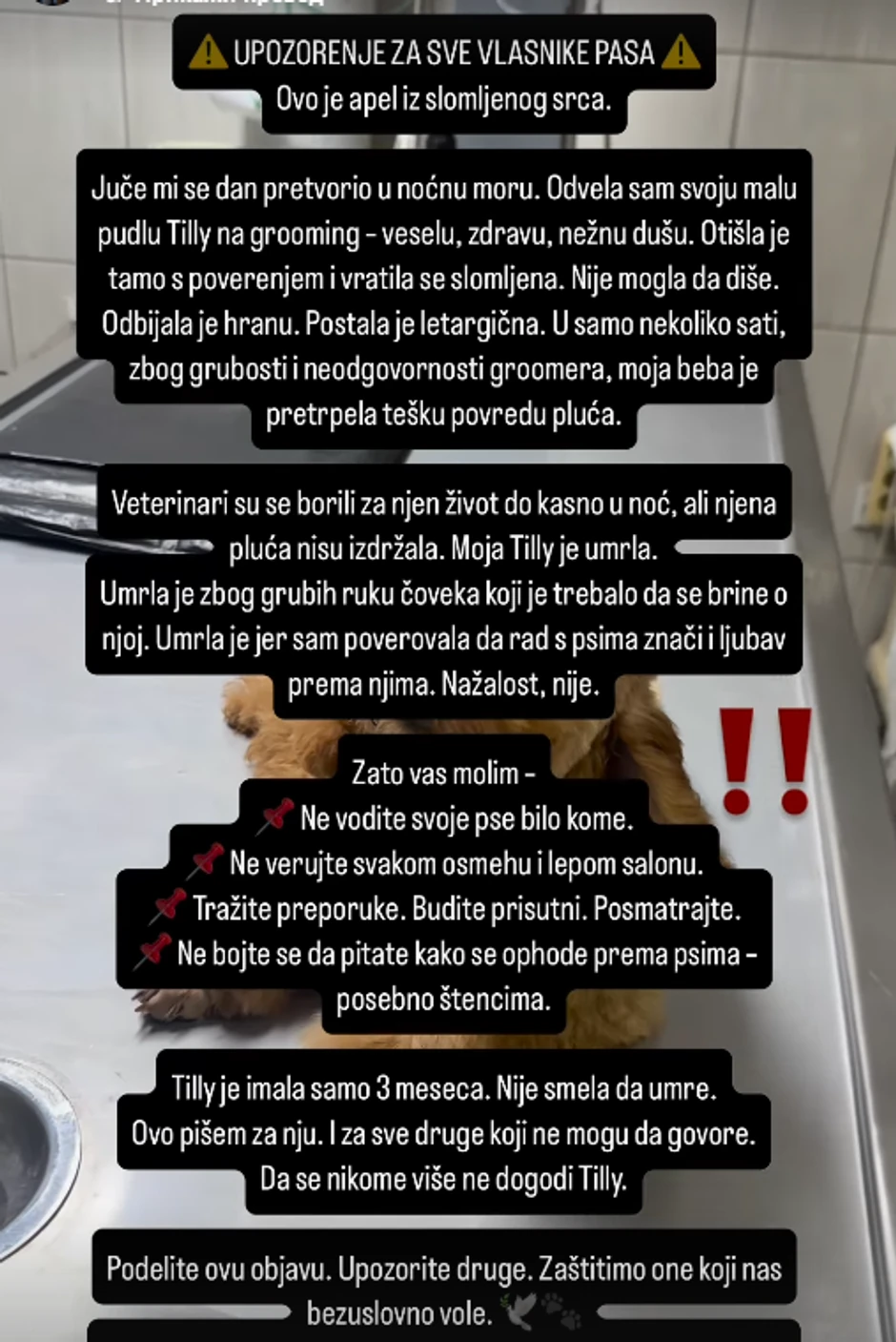 Oglasila se vlasnica psa koji je uginuo