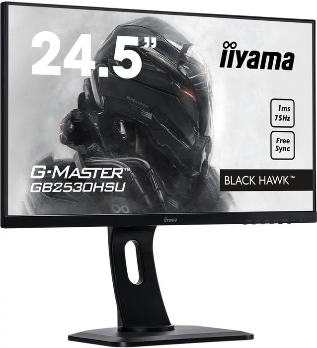  Iiyama G-Master Black Hawk