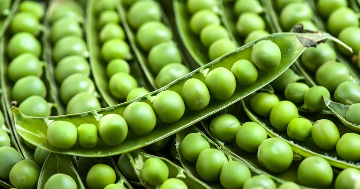 4 reasons you must use green peas today Pulse Ghana