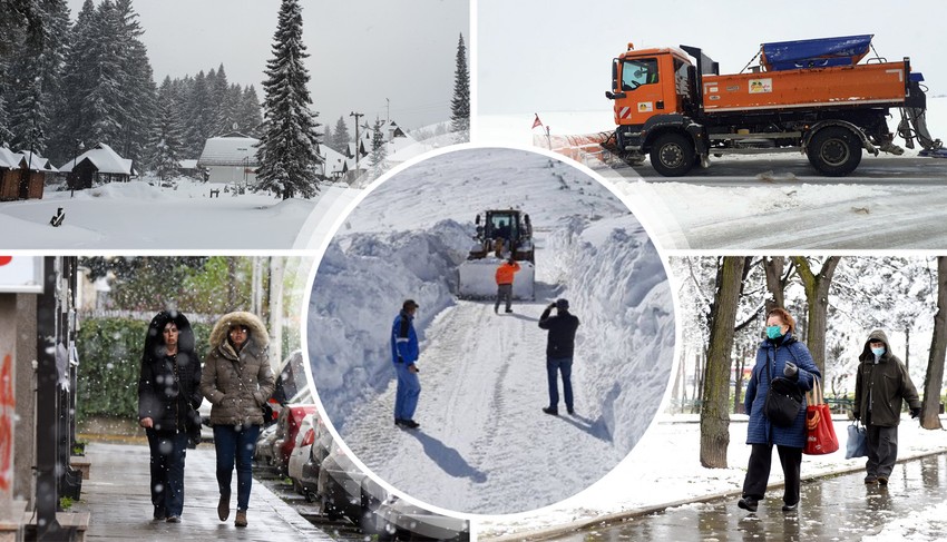 srbija sneg RAS Rina, Vladimir Lojanica,  Nenad Mihajlovic,  Nacionalni park Tara Aleksandar dimitrijevic