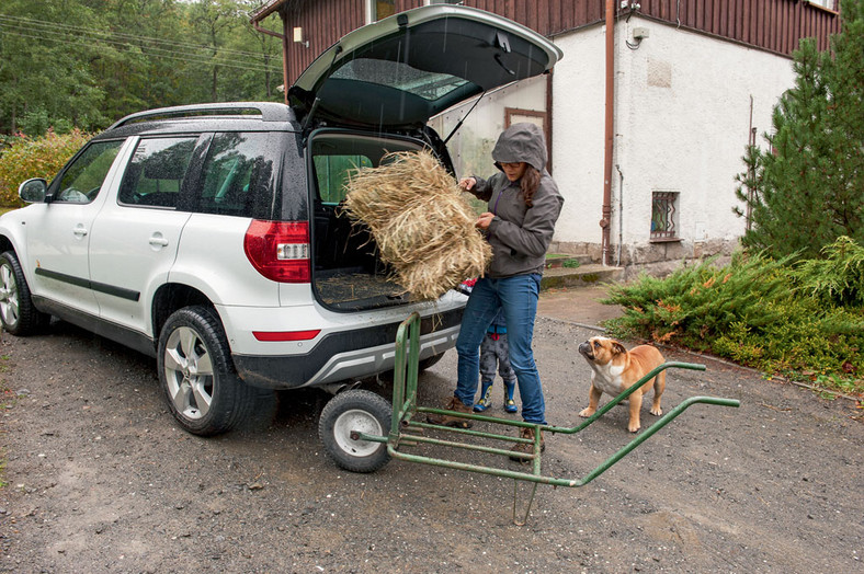 Yeti wraca w góry - czyli, życie daleko od zgiełku