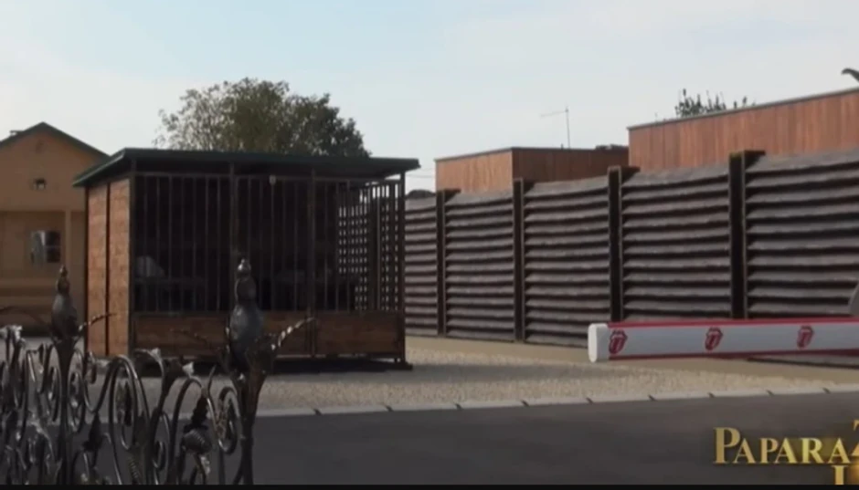 Kuća Dragana Marinkovića Mace