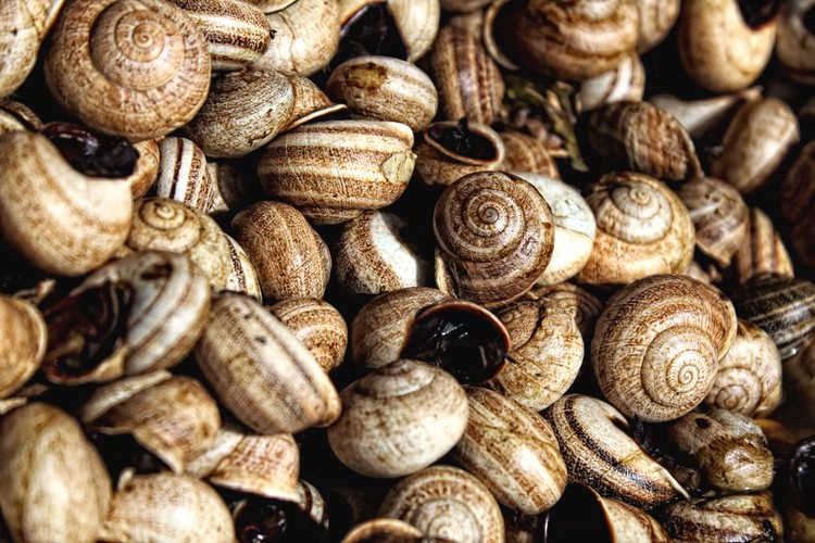 Co turyści zostawiają w hotelach?