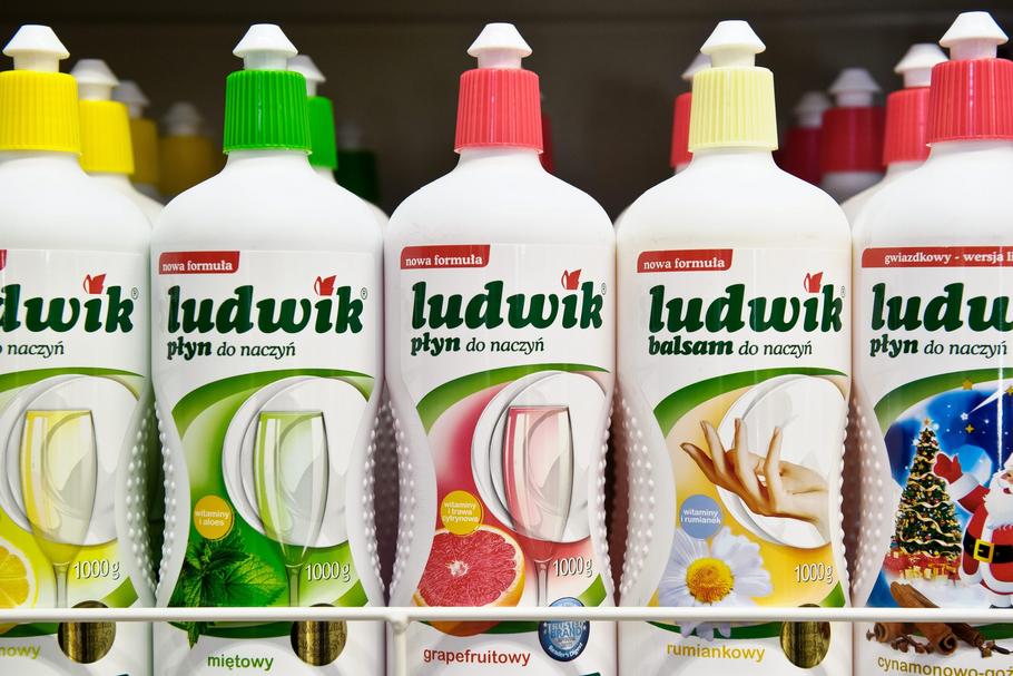 Ludwik powstał w Górze Kalwarii, w głównym zakładzie produkującym artykuły chemii gospodarczej Grupy INCO (gdzie produkowany jest do dziś) kilka lat po pojawieniu się pierwszych płynów do mycia naczyń na świecie.