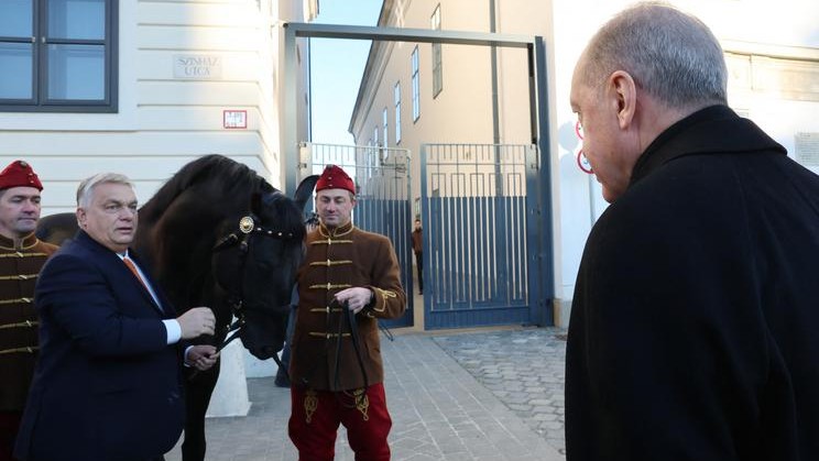 Titkos helyen hódítja a kancákat Orbán ajándéka: Főúr, a szupermén két napig utazott Törökországba