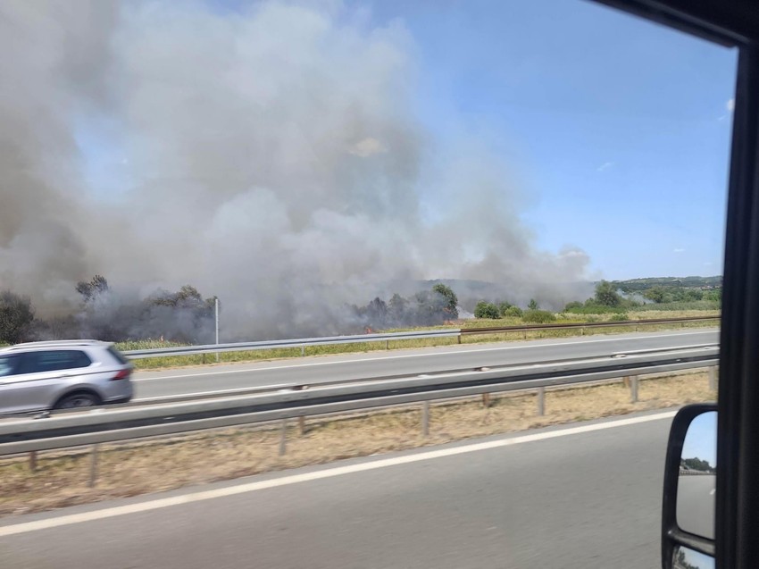 Požar pored auto-puta kod Umčara