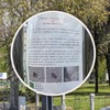 Karađorđev park Mamutska osa 