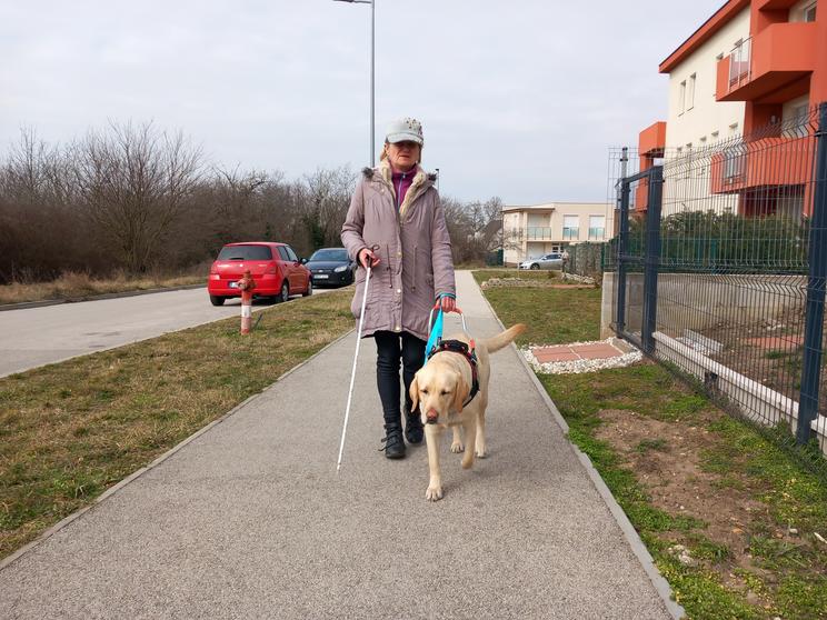 Száva kutya, és gazdája / Fotó: Baráthegyi Vakvezető és Segítő Kutya Iskola Alapítvány