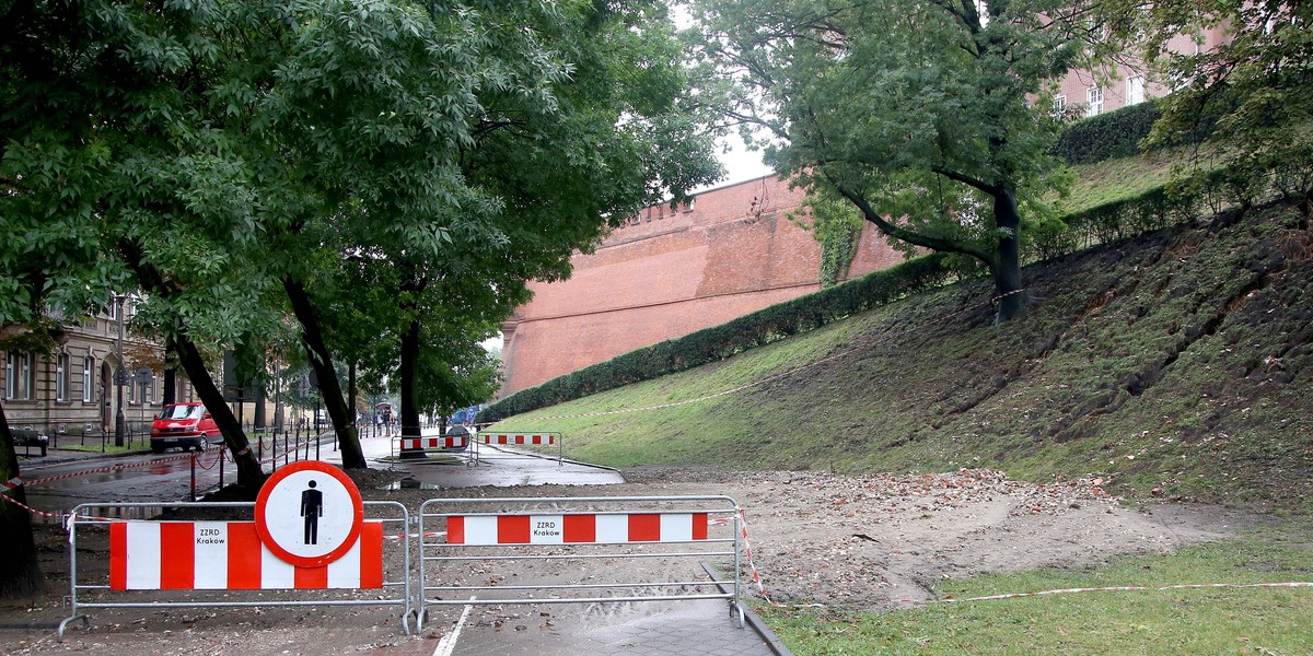 Szczątki pod Wawelem