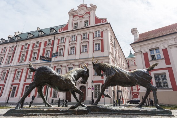 Pomnik poznańskich koziołków na Placu Kolegiackim przed Urzędem Miasta w Poznaniu autorstwa Roberta Sobocińskiego. (jkm) PAP/Adam Ciereszko