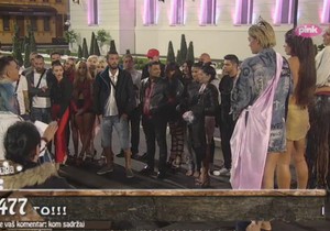 Zadruga izbor za mis