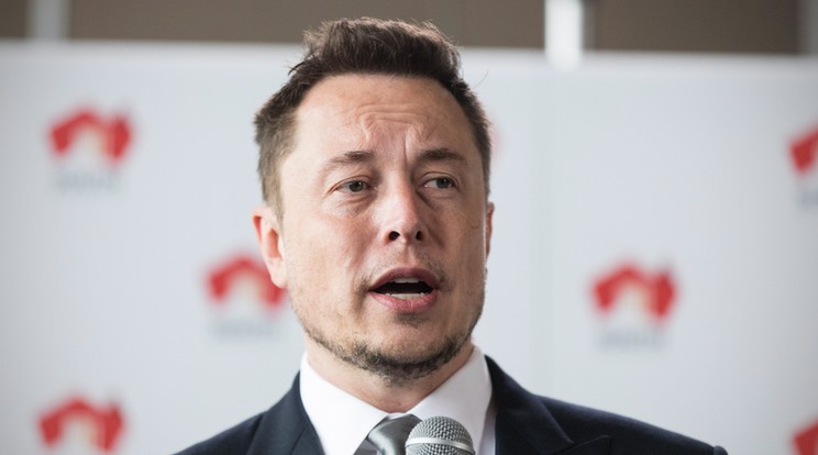 Elon Musk /Fotó: MTI/EPA/Ben MacMahon