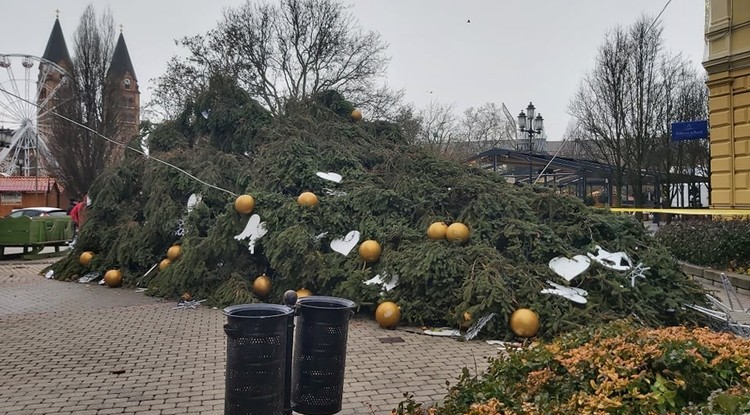 A nyíregyházi karácsonyfa is megadta magát