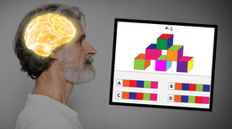 W jakim wieku jest twój mózg? 13 pytań pokaże, jak szybko się starzeje