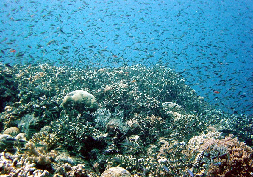 Klimatske promene pogodiće prvo tropske krajeve