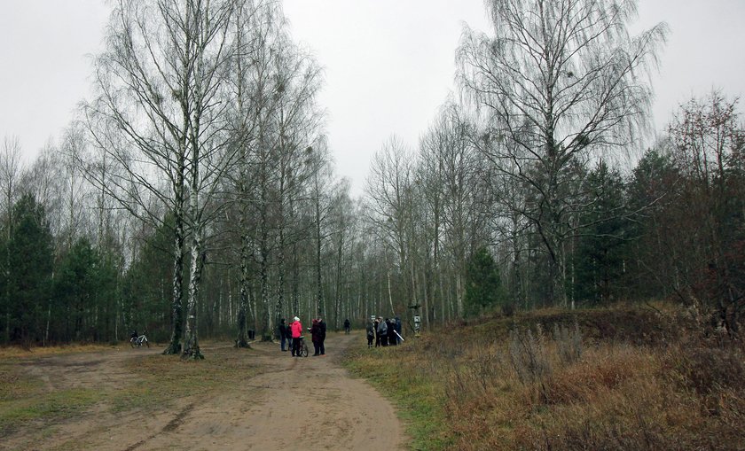 Podlasie: Mieszkańcy nie chcą wycinki Lasu Turczyńskiego pod cmentarz