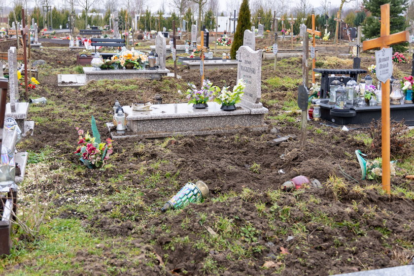 Zgroza! Przewrócone krzyże, zniszczone mogiły ... Dziki ryją w grobach na szczecińskim cmentarzu!