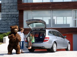 Nawet niedźwiedź woli Mercedesa