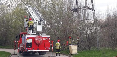 Niebezpieczna zabawa zakończyła się tragedią. 12-letni Alan porażony prądem jest po kilku operacjach