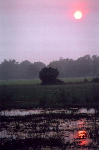 Galeria Kambodża - Angkor - uśmiech króla, obrazek 39