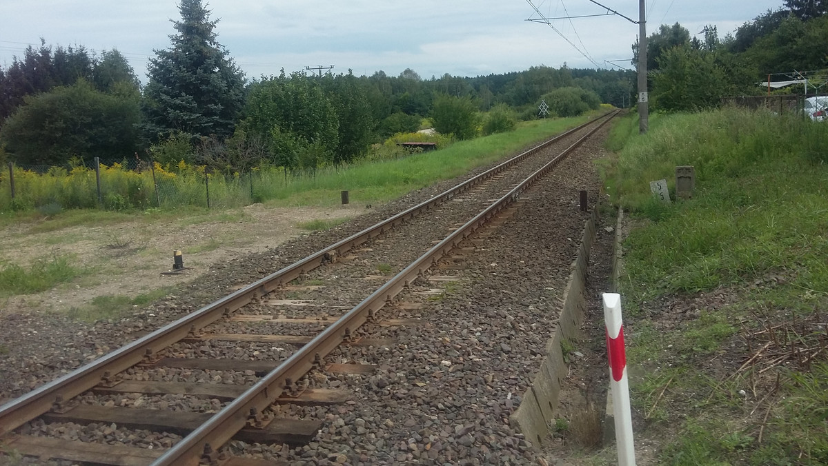 Polskie Linie Kolejowe przymierzają się do utworzenia połączenia centrum Olsztyna z Gutkowem. Tym samym w stolicy Warmii i Mazur powstałaby kolej miejska. Czy jednak ta inwestycja poprawi sytuację na olsztyńskich ulicach?