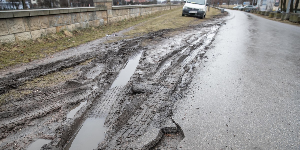 Kierowcy niszczą ścieżki na Błoniach 