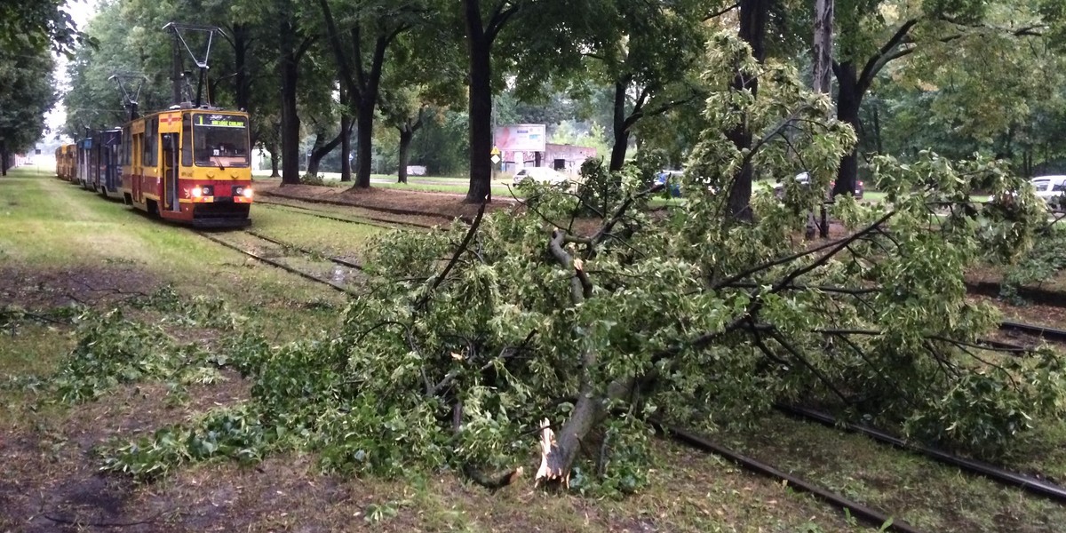 Burza, huragan, grad. Jest ostrzeżenie dla Łodzi