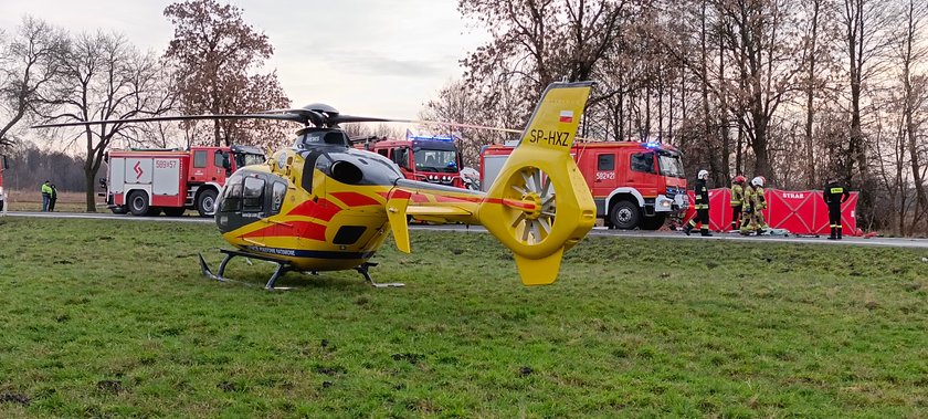 Tragedia w województwie łódzkim. Czołowe zderzenie renault z ciężarówką. Przynajmniej jedna osoba nie żyje