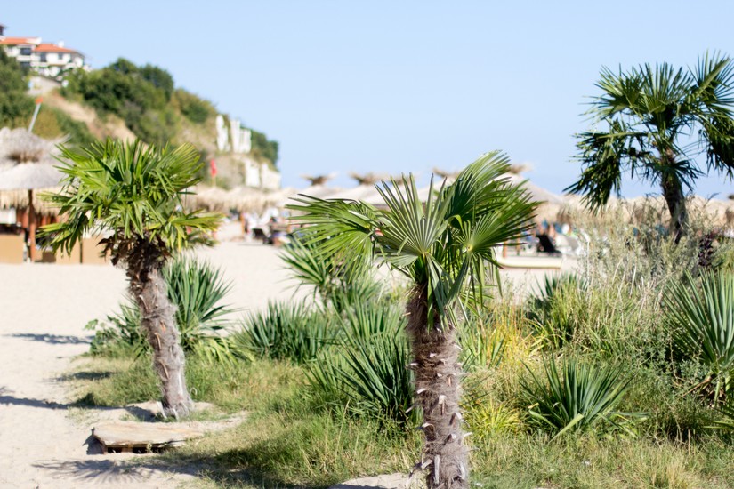 Plaża w miejscowości turystycznej Święty Włas - zdjęcie poglądowe