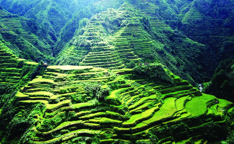 Tarasy ryżowe w Banaue, fot. archiwum autora