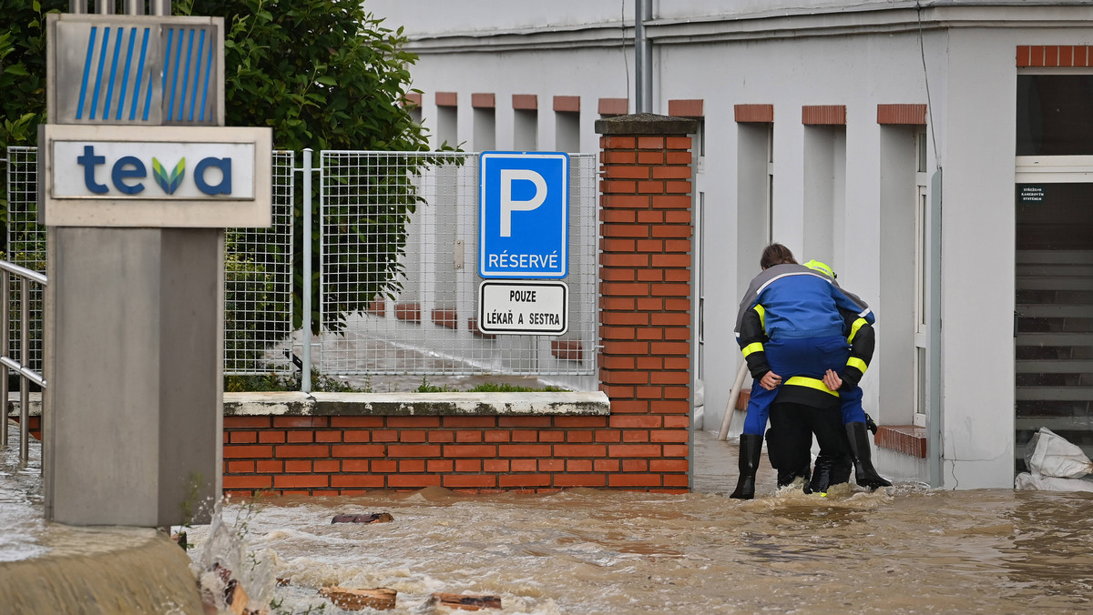 Ruszyli na ratunek ludziom i zwierzętom. Czescy strażacy pomogli nawet papudze