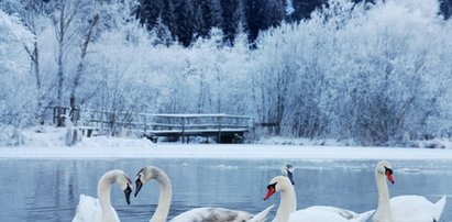 Śnieg będzie, ale dopiero w... styczniu