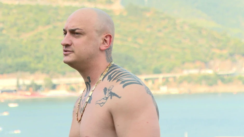 Dragomir Despić Desingerica